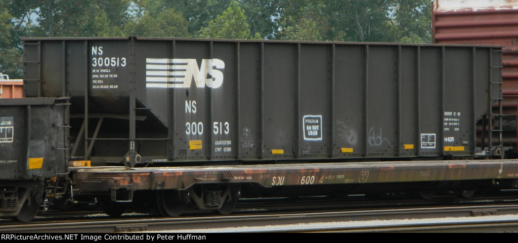 NS 300513